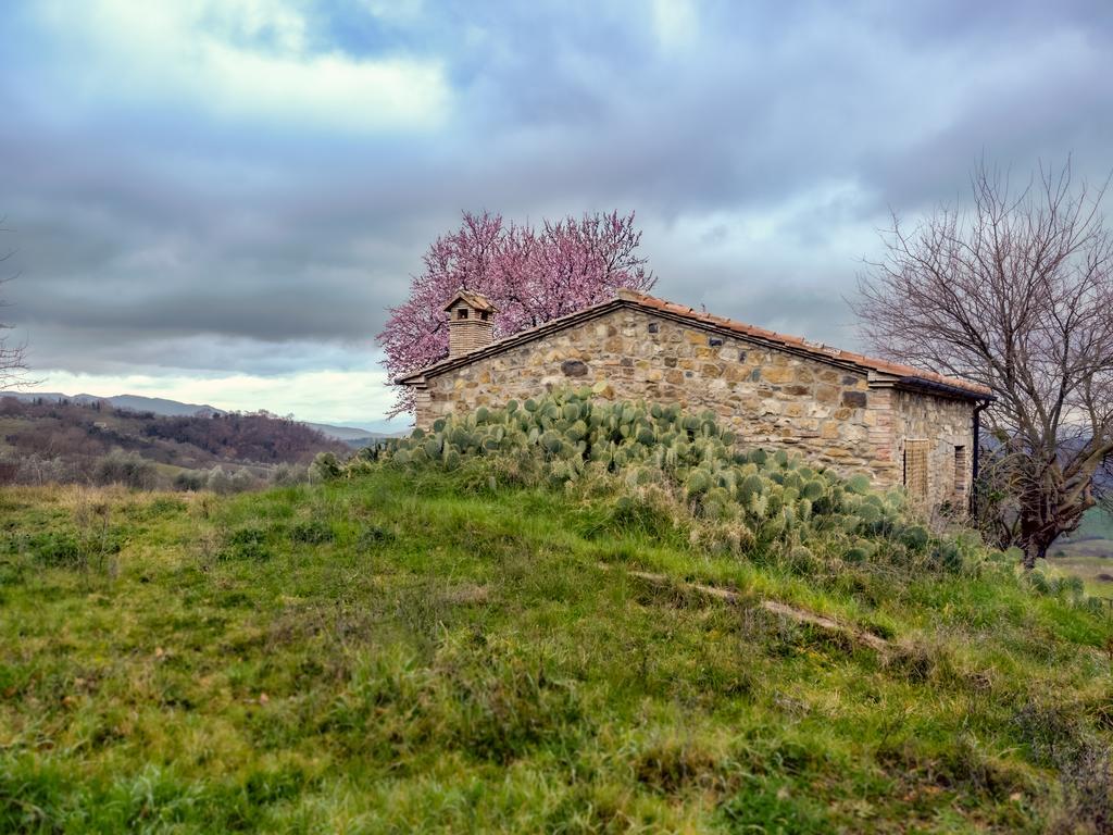 Agriturismo Le Canterie Radicondoli Kültér fotó