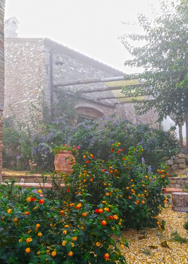 Agriturismo Le Canterie Radicondoli Kültér fotó