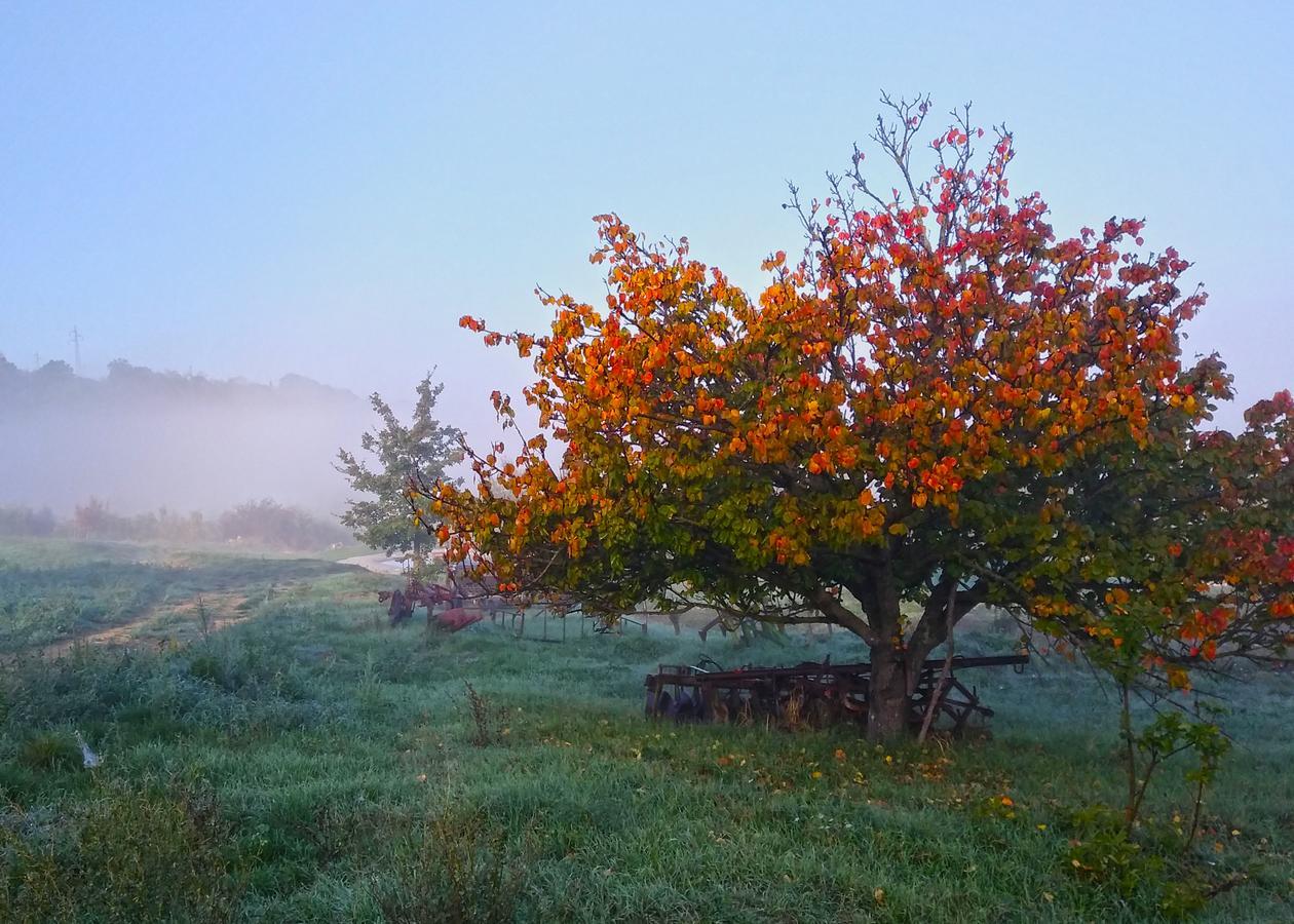 Agriturismo Le Canterie Radicondoli Kültér fotó
