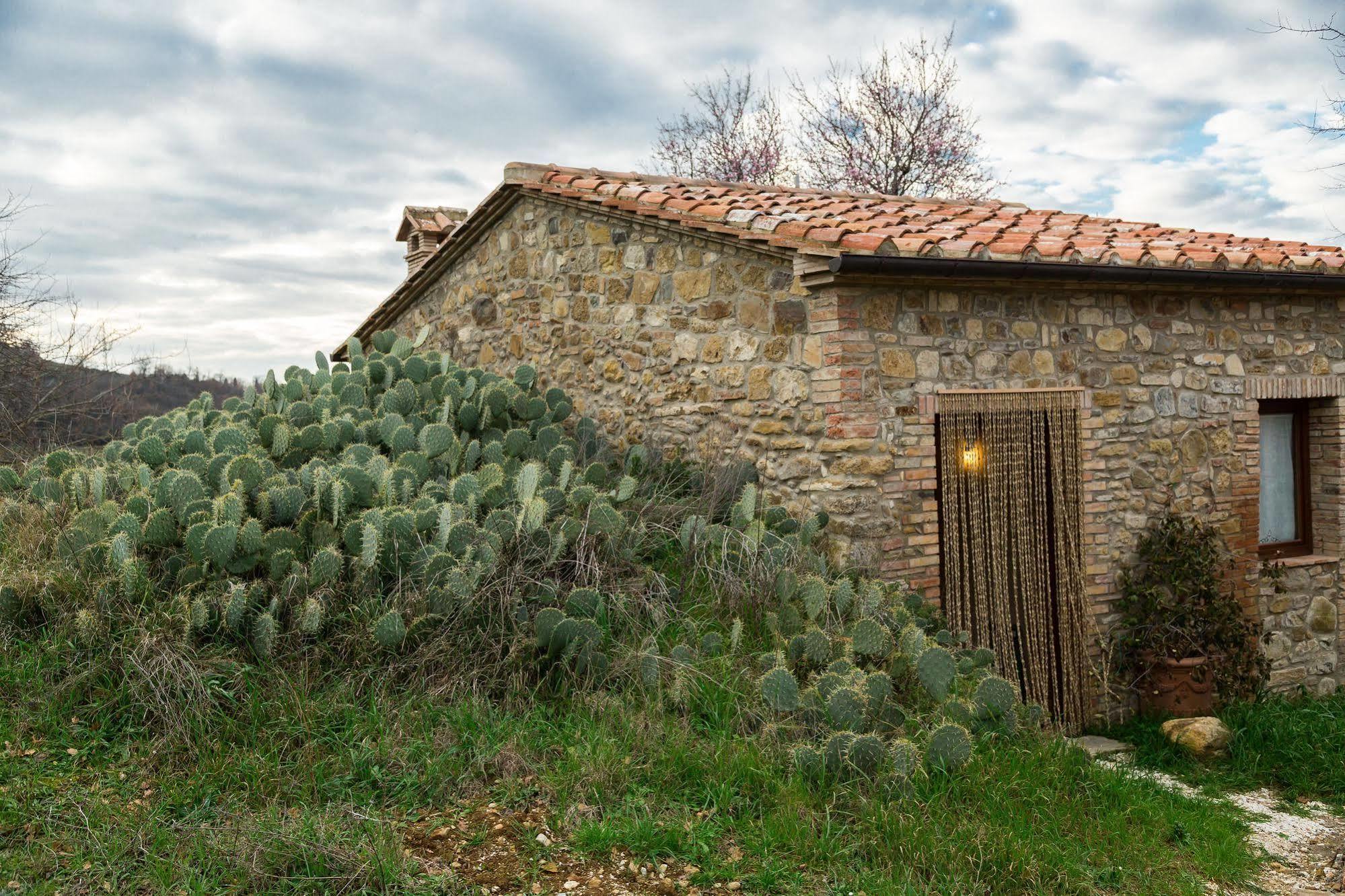 Agriturismo Le Canterie Radicondoli Kültér fotó