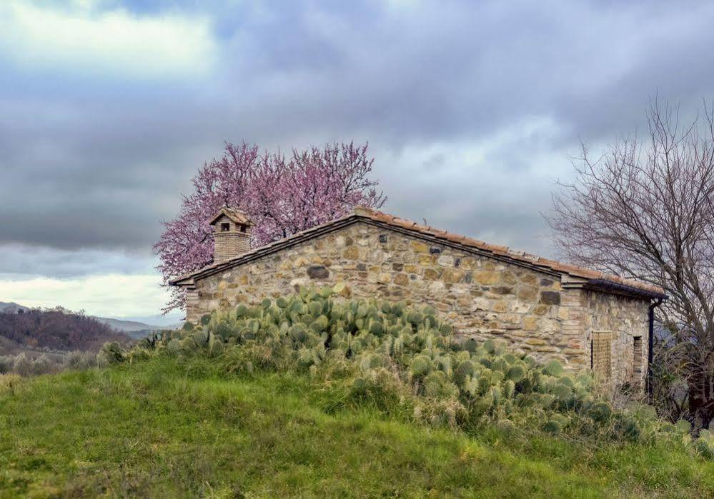 Agriturismo Le Canterie Radicondoli Kültér fotó